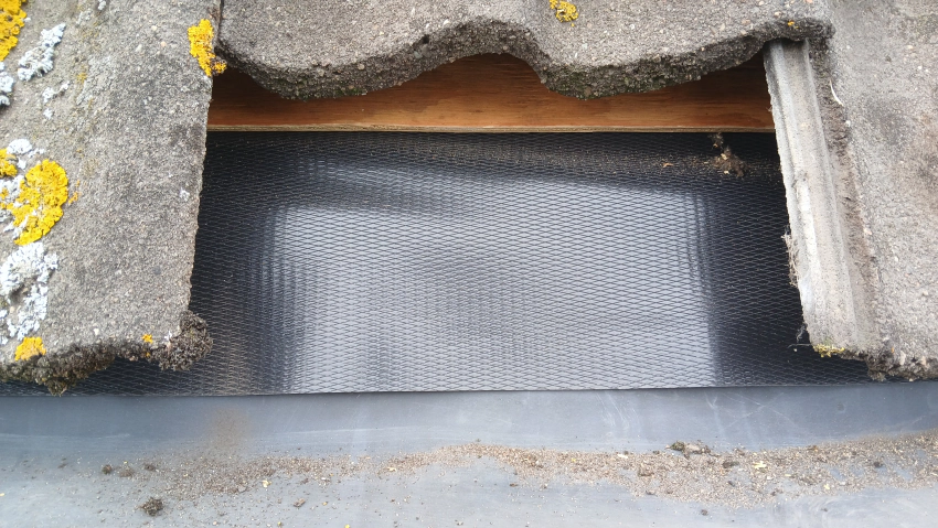 Realisatie plat dak